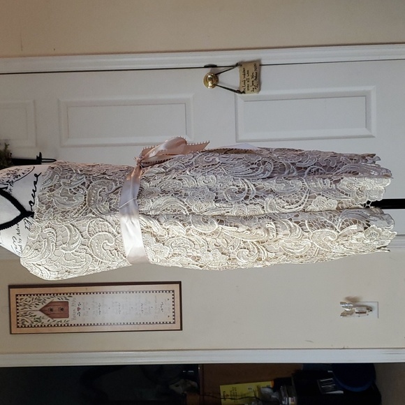 Adrianna Papell Evening Dress - Picture 8 of 15